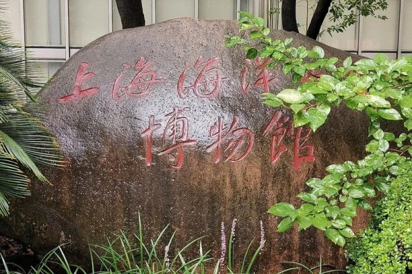 上海海洋大学是985还是211