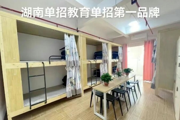 2026湖南单招培训开设班型有哪些