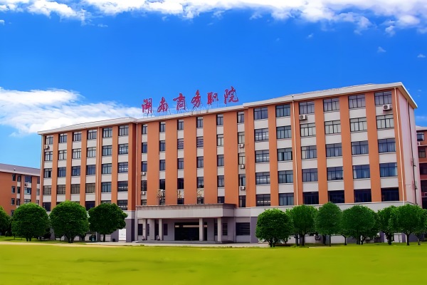 湖南商务职业技术学院2025年单招合格标准