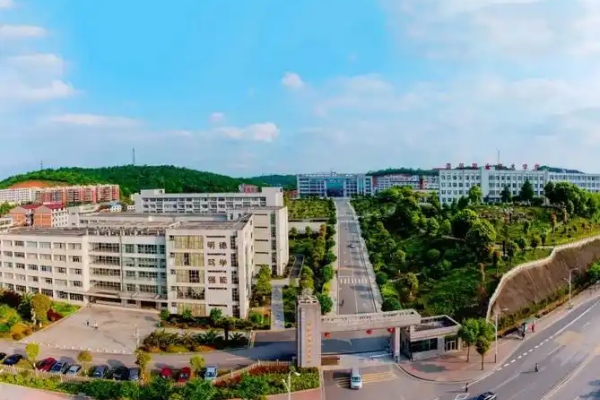 2026年邵阳职业技术学院单招指南