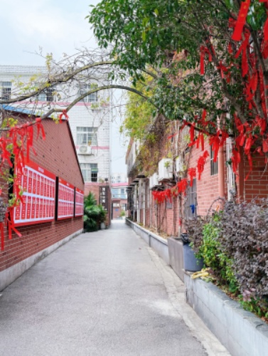 岳麓山下・阳光单招｜长沙大学城高端单招集训基地