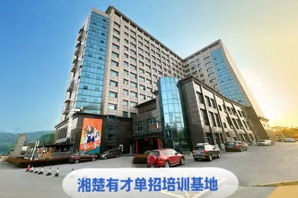 湖南湘楚有才单招培训学校学费多少